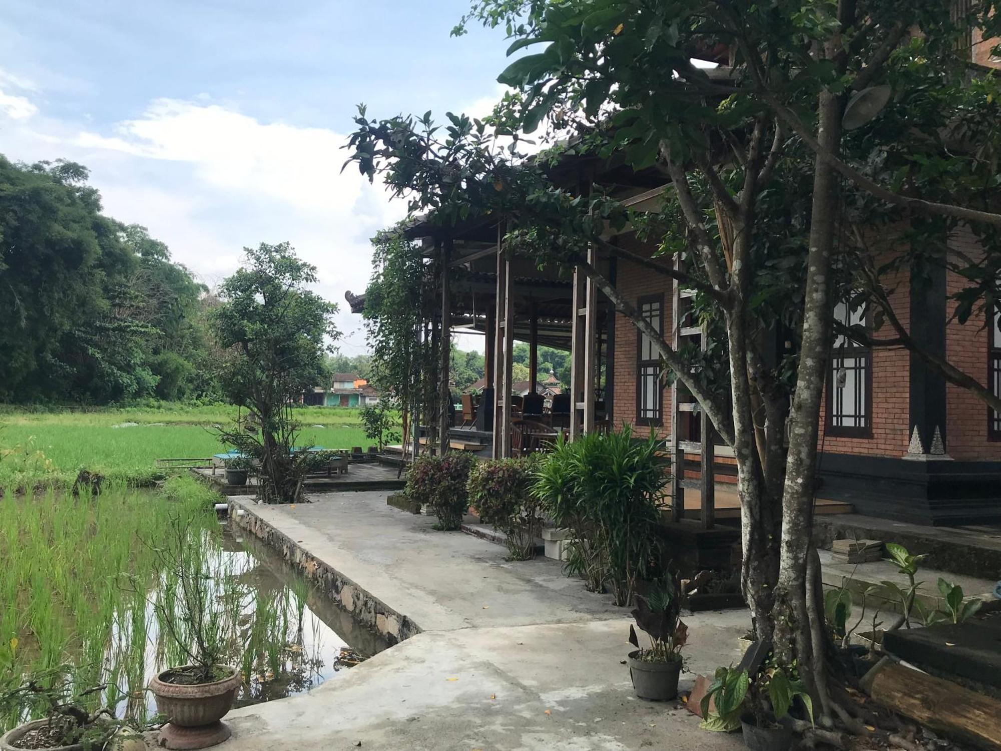 Lotus 2 Guest House Magelang Exteriör bild