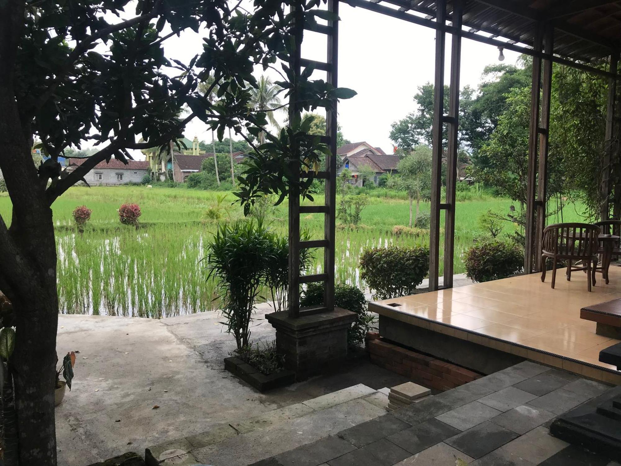 Lotus 2 Guest House Magelang Exteriör bild